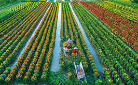 Tiềm năng phát triển du lịch nông thôn, trong đó có du lịch cộng đồng của Việt Nam là rất lớn. (Nguồn ảnh: tapchicongsan.org.vn)